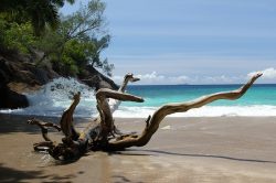 YREN'-yren-courtier-voyages-seychelles